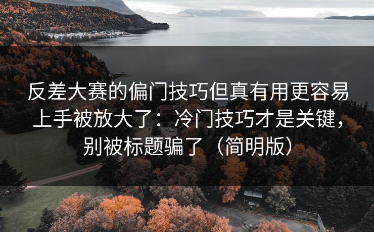 反差大赛的偏门技巧但真有用更容易上手被放大了：冷门技巧才是关键，别被标题骗了（简明版）